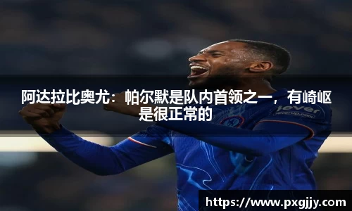 阿达拉比奥尤：帕尔默是队内首领之一，有崎岖是很正常的